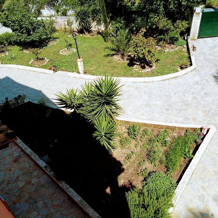 Silvia Villa