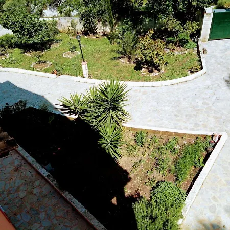 Silvia Villa